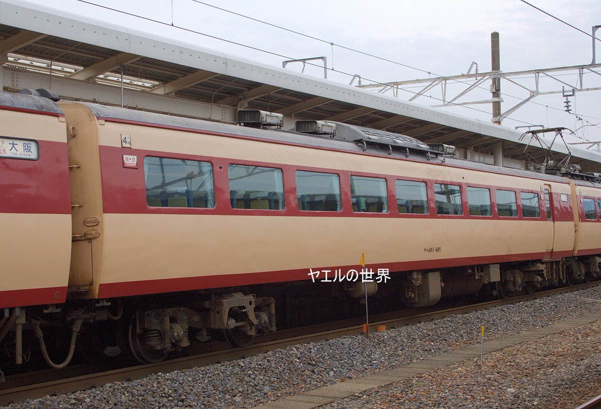 ヤエルの世界 tweet media