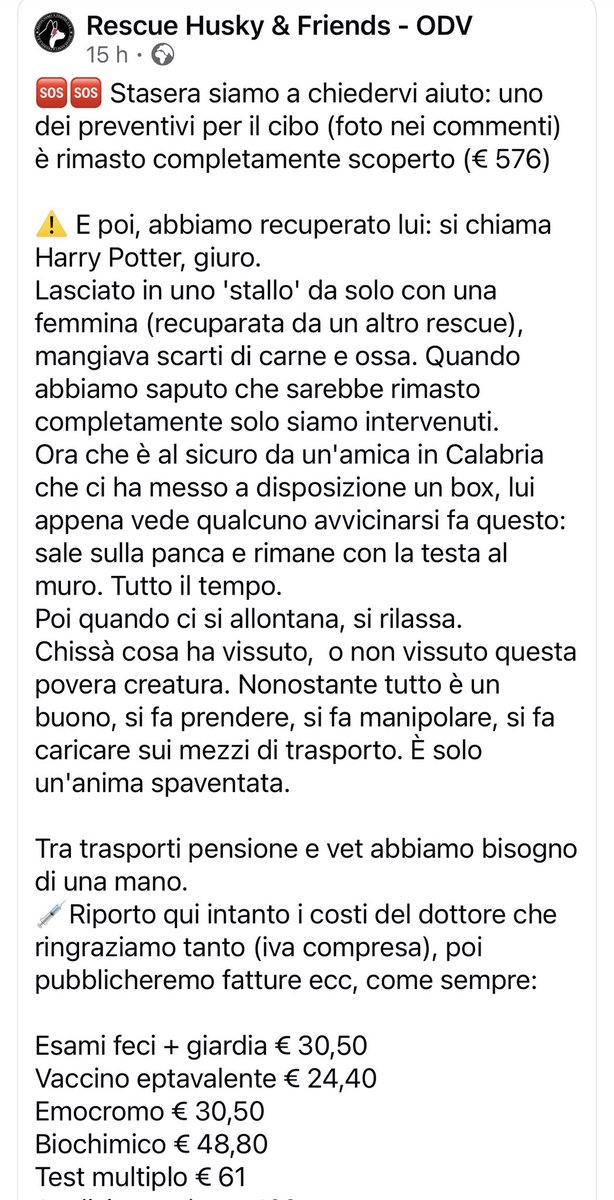 Paola B. tweet media