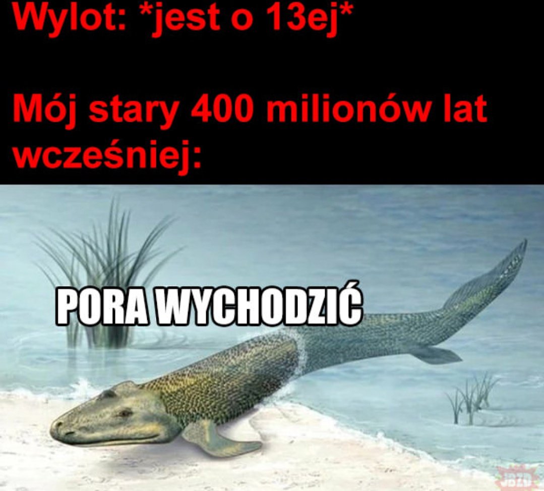 Franz Hrad i kot Burbon tweet media