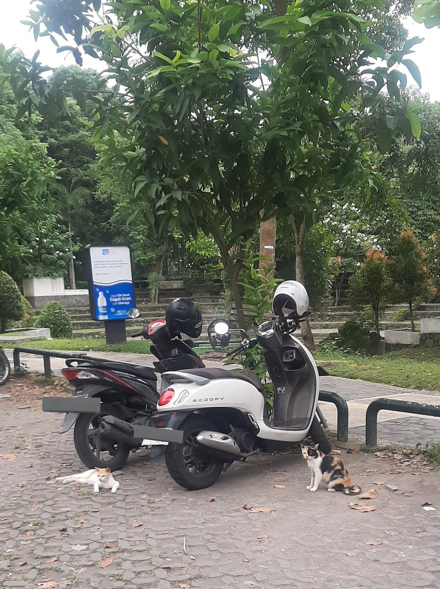 penampakan tukang parkir liar wisdom park