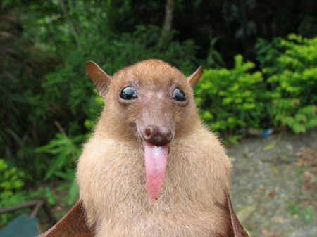 ᡕᠵデᡁ᠊╾━ Nick ⌖ tweet media