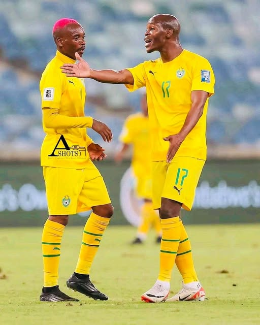 larry kwirirayi ✍📔 tweet media