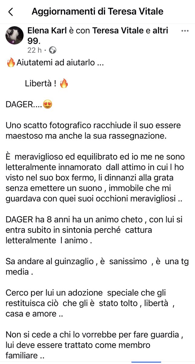Paola B. tweet media