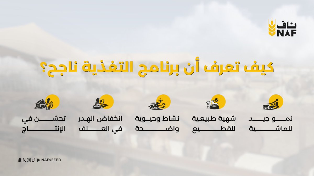شركة ناف لصناعة الأعلاف tweet media