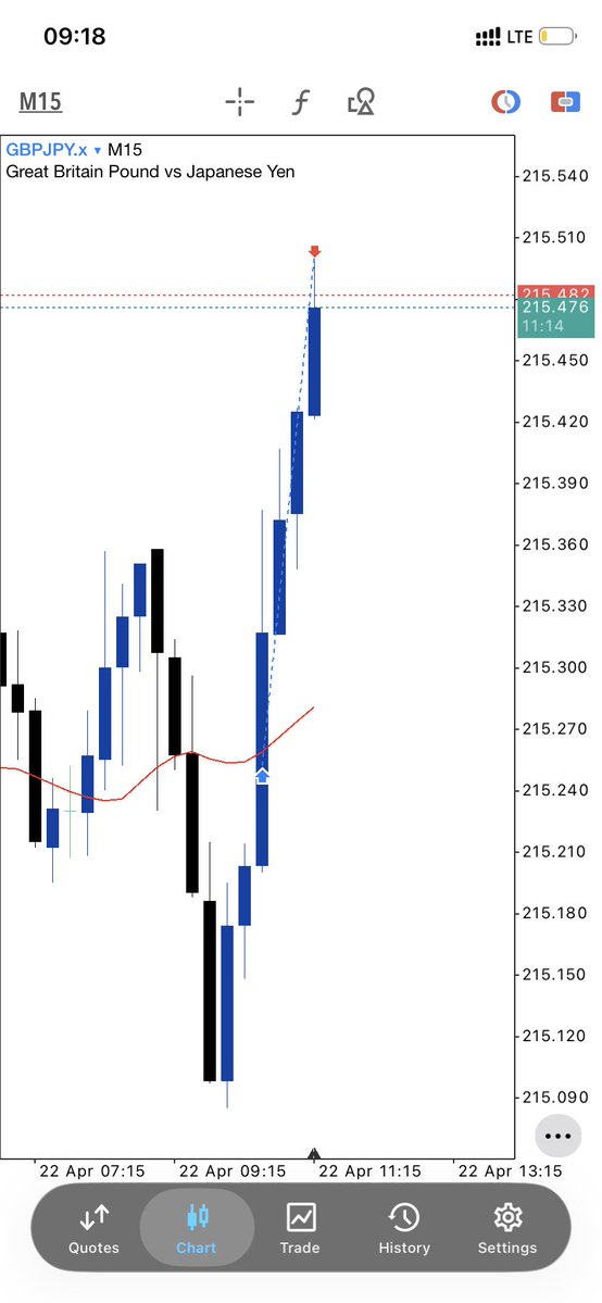 Pope 🌐 tweet media