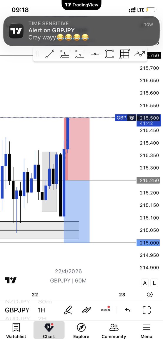 Pope 🌐 tweet media