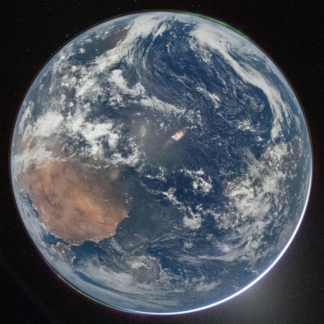 Anonymous tweet media