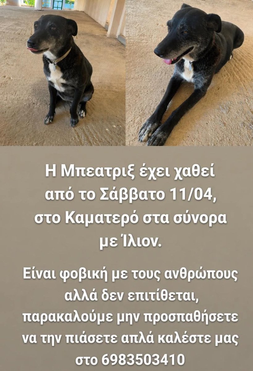 Χλε_Μπονα Σαμερ tweet media