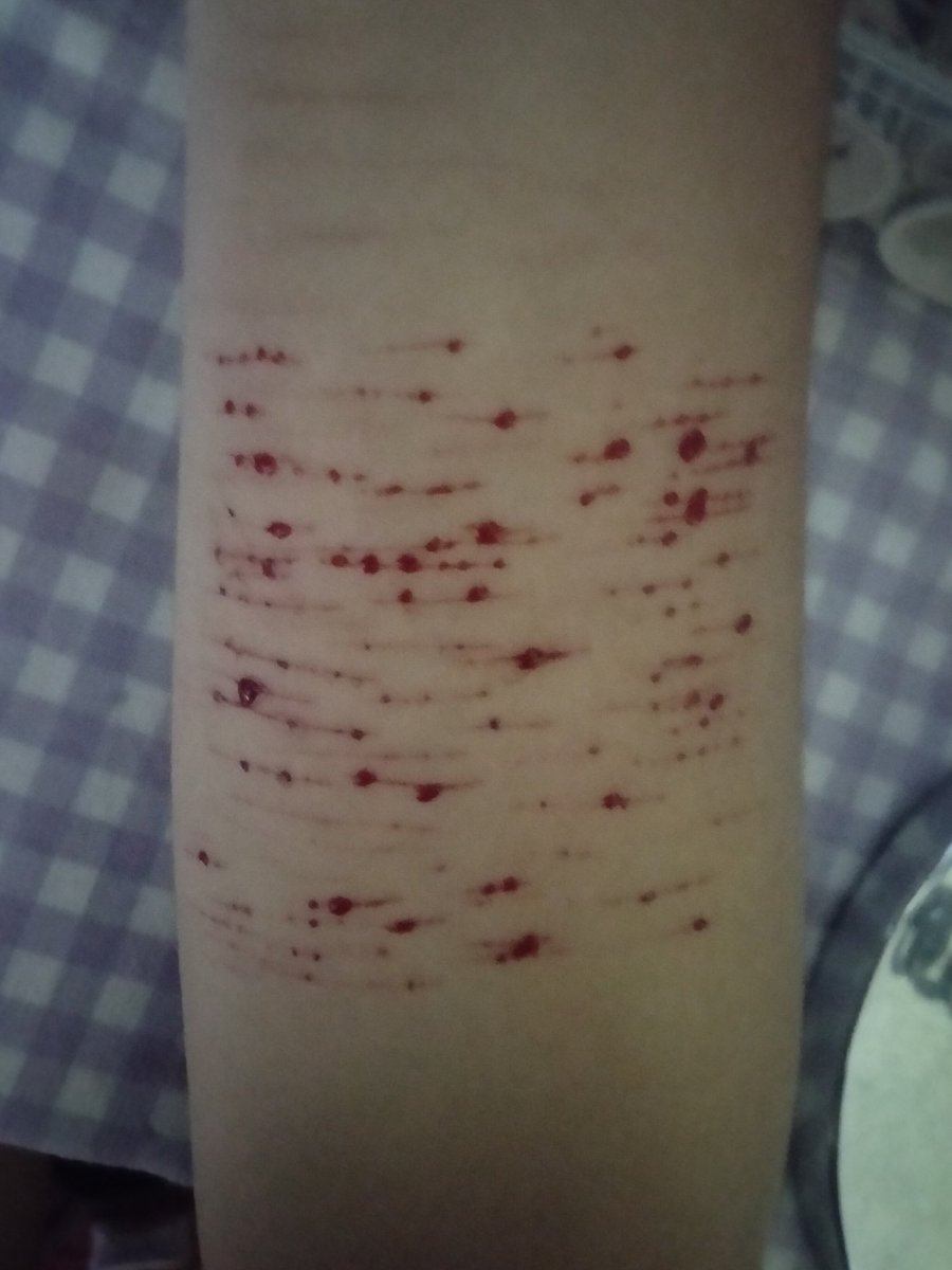 *⁠.⁠✧hani —⁠☆ tweet media