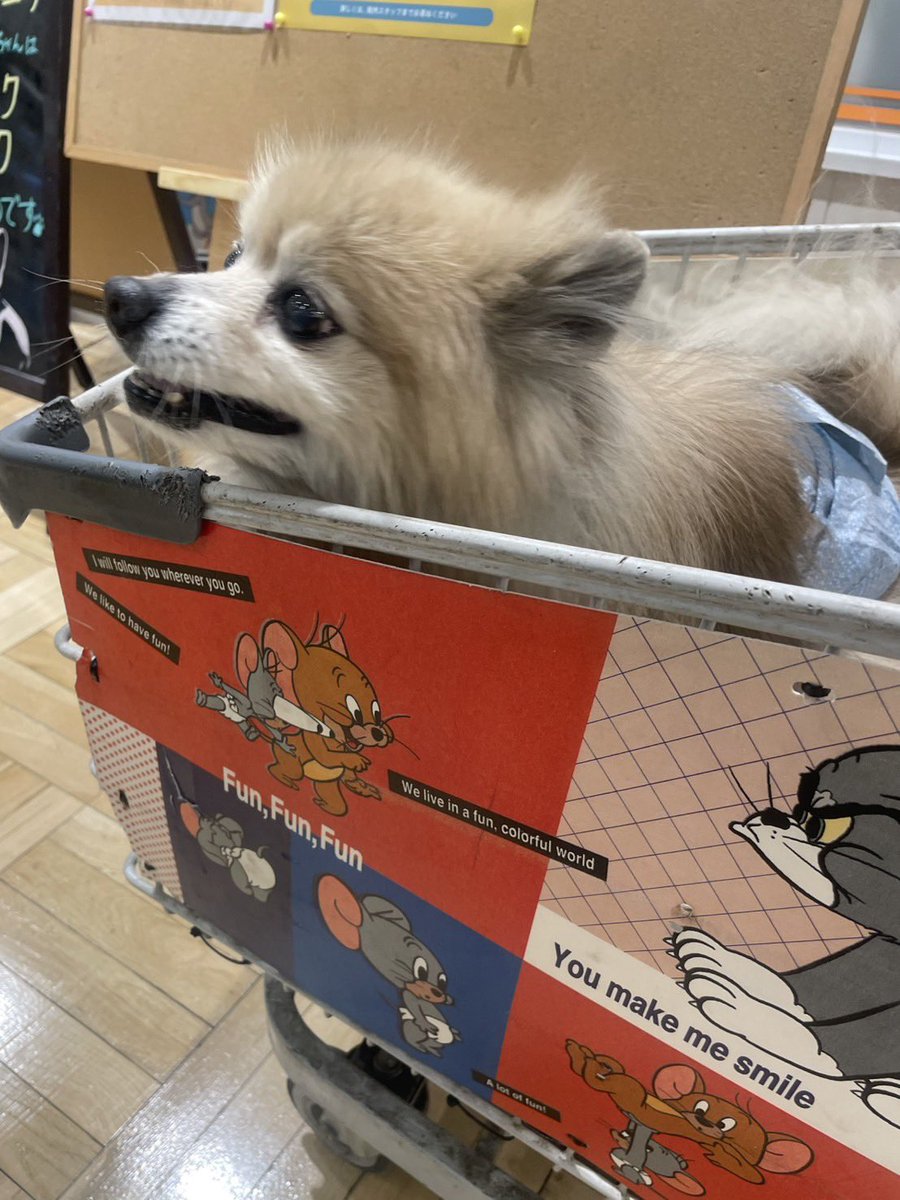 爆発ごろう👾自由飲酒党🍶 tweet media