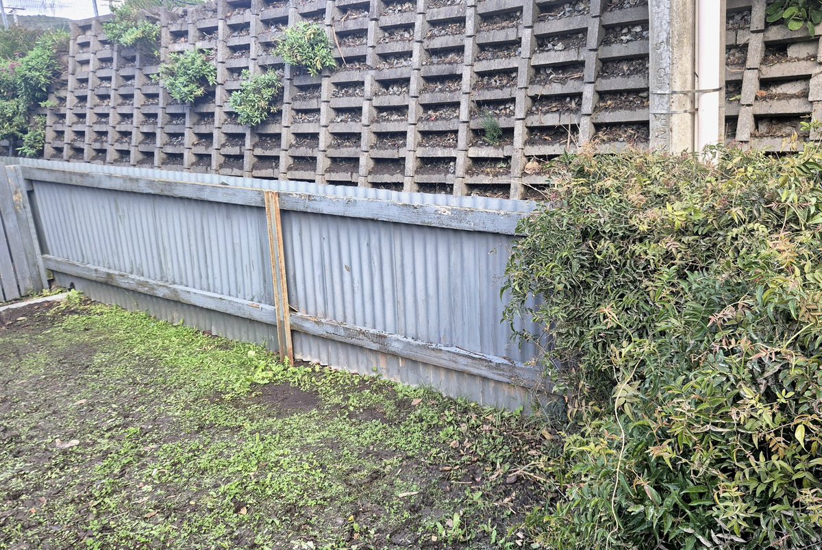 Ben McNulty tweet media