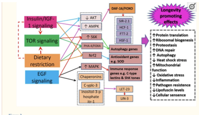 Magnus Vigsø tweet media