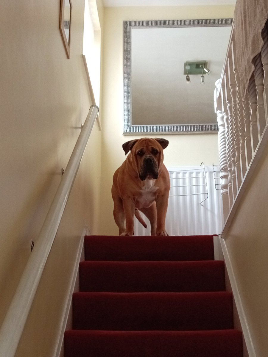 Paul jones❤🙉🙈🙊❤🇵🇸🇸🇾 tweet media