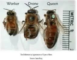 Magnus Vigsø tweet media