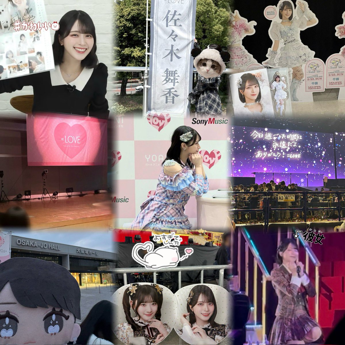 み💖🎶 tweet media