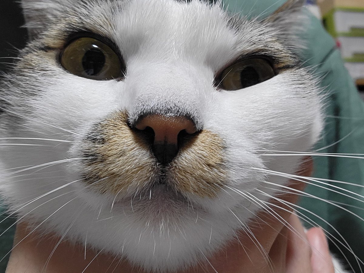 ぱっく tweet media