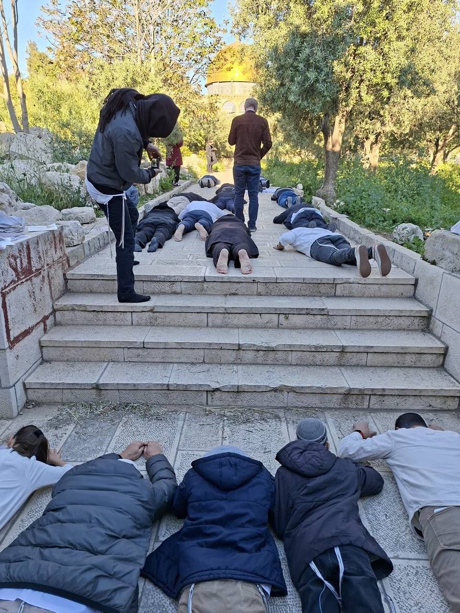 طوفان الاقصى tweet media