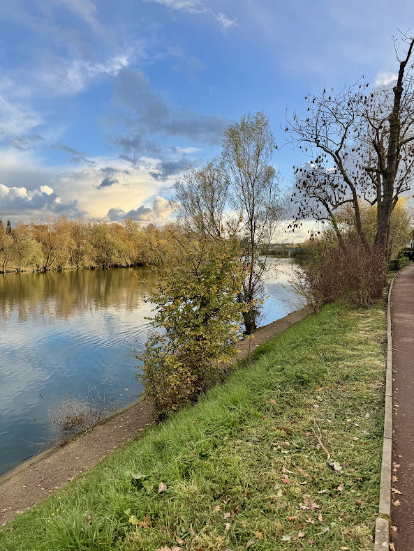 Pablo8275694911's tweet image. La jolie #Marne depuis Le #Perreux
#river #photo #photographie #photography #fotografia #nature