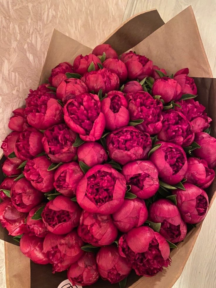 flower 🌺🌹 (@greenery897) on Twitter photo 