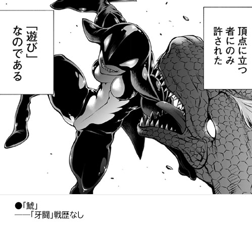 最強クラス戦歴レビュー「鯱(シャチ)」】獣闘士ではないために「牙闘