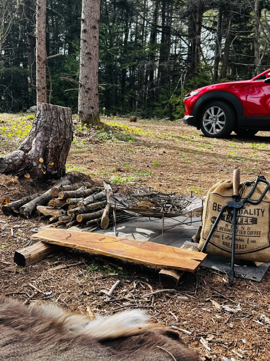 みぃ"おやまのおかん"夜勤キャンパー tweet media