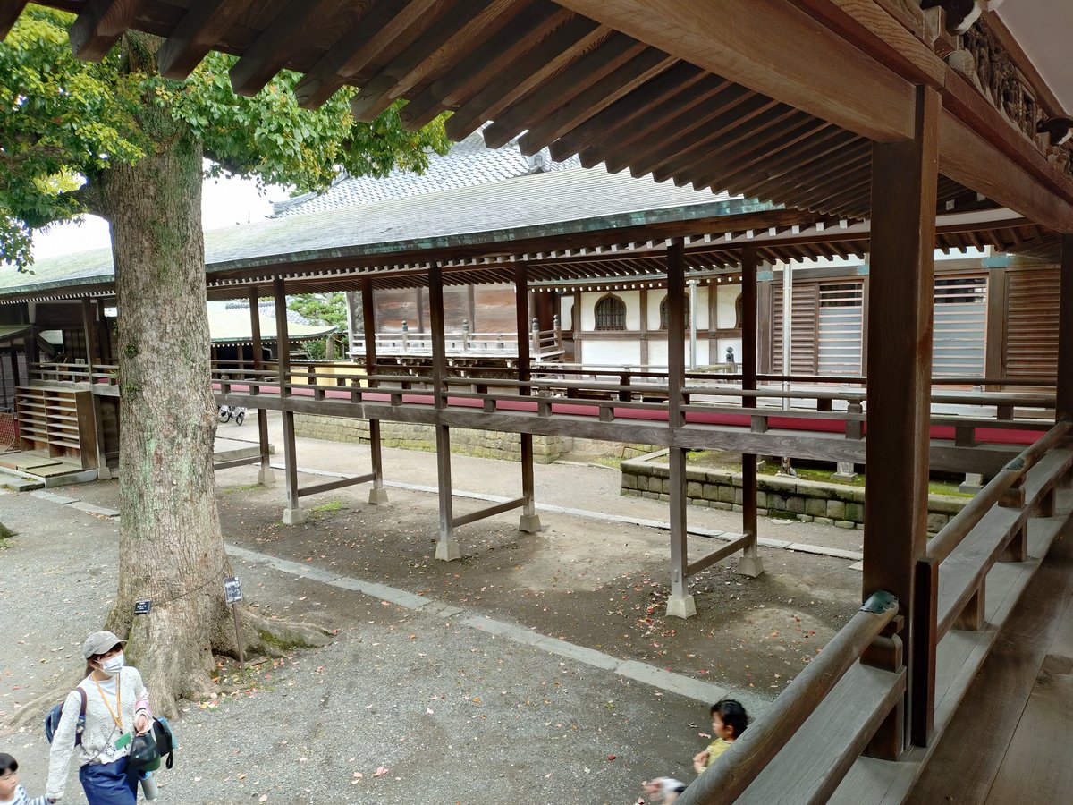 あかつき tweet media