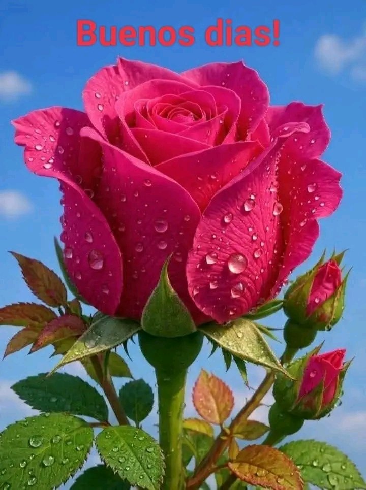 🇦🇷♥ Marcela ⭐⭐⭐ tweet media