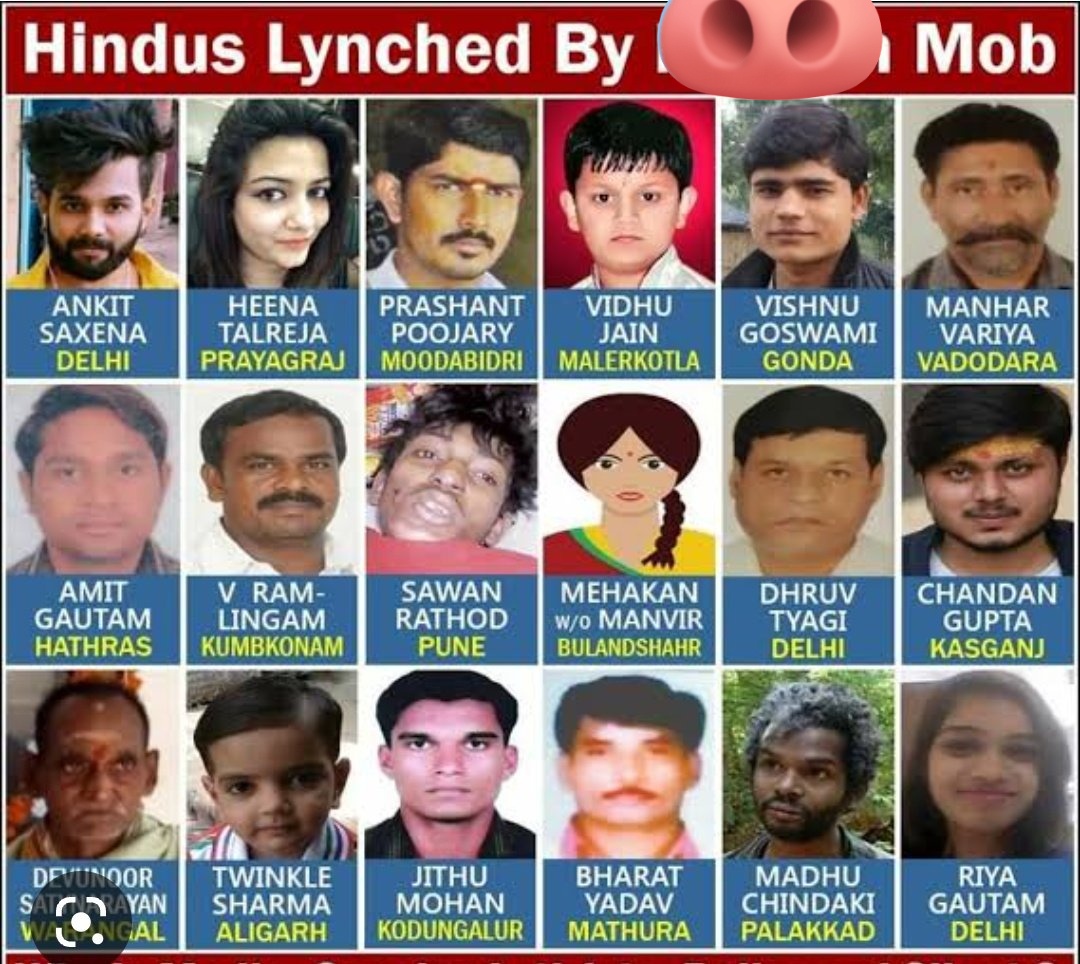 Jag1Mr's tweet photo. @_sayema If you don't sympathise with victims of
#PahalgamMuslimTerroristAttack 
#PulwamaTerrorAttack 
#PathankotPKstaniTerrorAttack 
#MumbaiTerrorAttack'08 
#KashmirHinduGenocide 
#PartitionHorrors'47...

and want us to sympathise on #palestineTerrorists

you are free to FO����🏽🤬🐷🇵🇸 https://t.co/EgM2ebGEgm