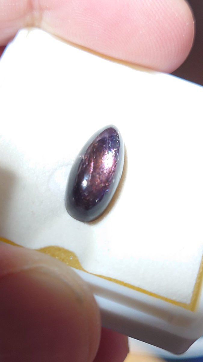 猫おじさん tweet media