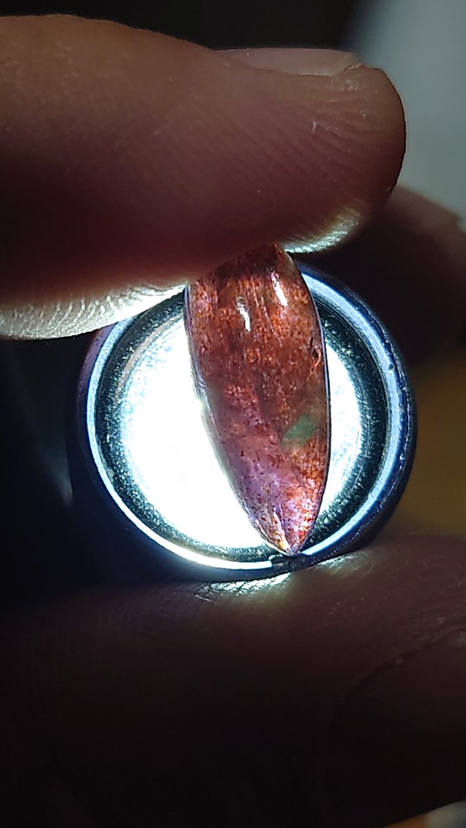 猫おじさん tweet media