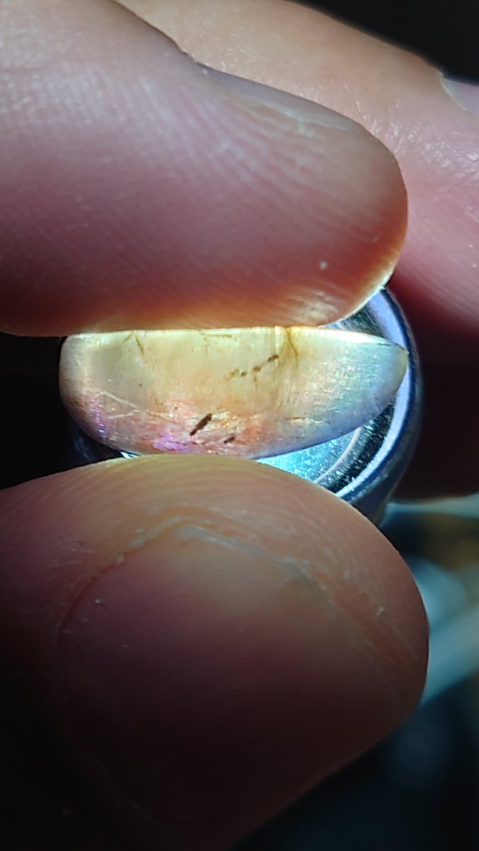 猫おじさん tweet media