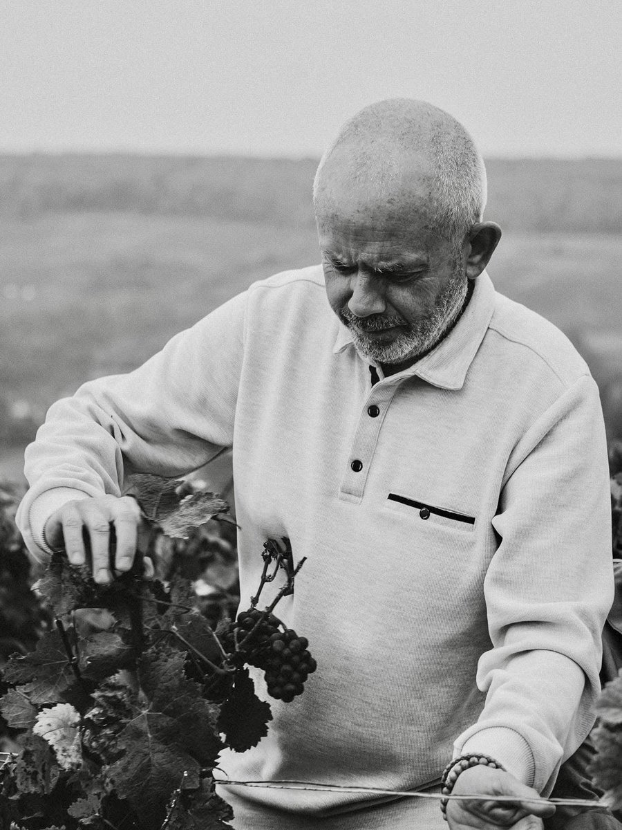 annameteyer's tweet image. Challenge International du Vin:
3 champagnes présentés, 
3 catégories différentes…
3 médailles d’or! 🏅

🍾 Nos cuvées récompensées :
• Réserve
• Prestige
• Nuits Blanches 

#champagne Vignerons indépendants de Champagne #excellence #terroir
#challengeinternationalduvin