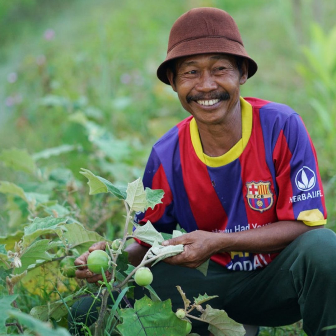 KMPEnglish's tweet photo. 🌾 Stable livelihoods reduce pressure on forests.

KMP works with communities to support livelihood options that fit peatland conditions — balancing economic needs with long-term sustainability.

#ESG #KMP https://t.co/ApJu9DVEiJ