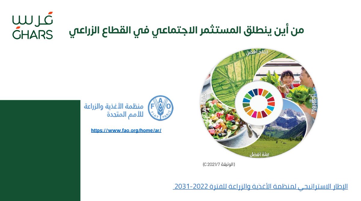 أروى الشريف tweet media