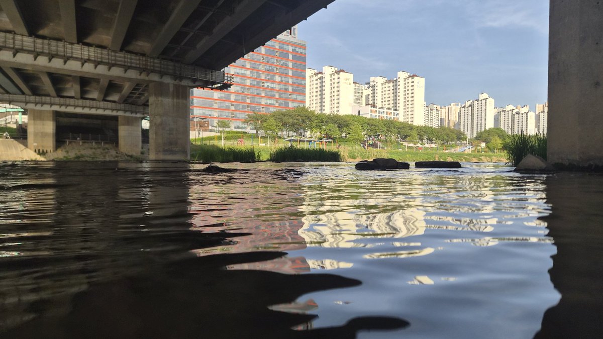 토라츠 🔜 4퍼클 tweet media