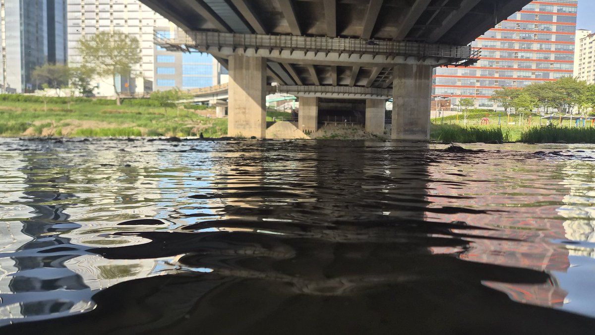 토라츠 🔜 4퍼클 tweet media