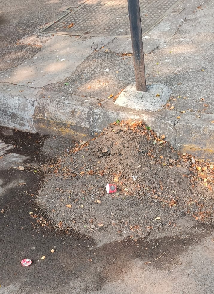 theaniketkurup's tweet image. @NMMConline @NMMCCommr @SwachhBharatGov Thanks for the quick clean-up! However, the debris from the monsoon drain cleaning needs to be picked up soon. Leaving it around defeats the purpose of the clean-up. 🧹🗑️ #Debris #CleanUp #Monsoon #CleanupNaviMumbai