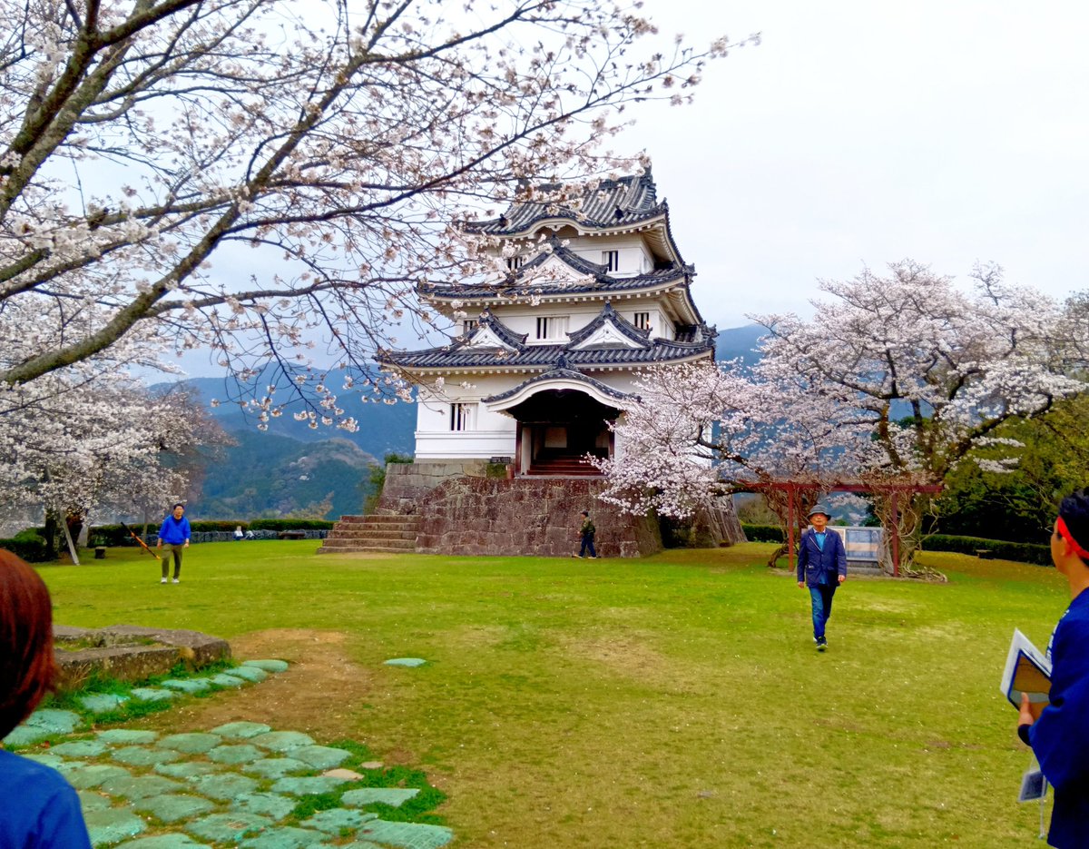 Haruki Kawaguchi 川口ハルキ tweet media