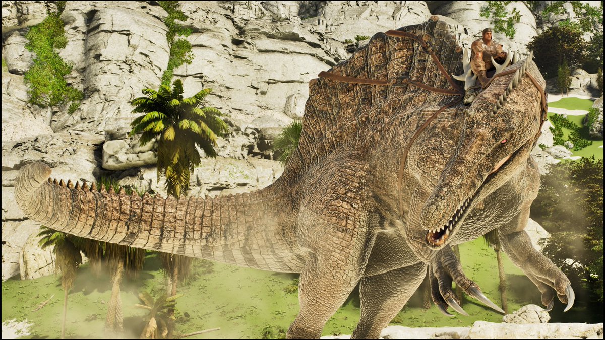 おかか tweet media