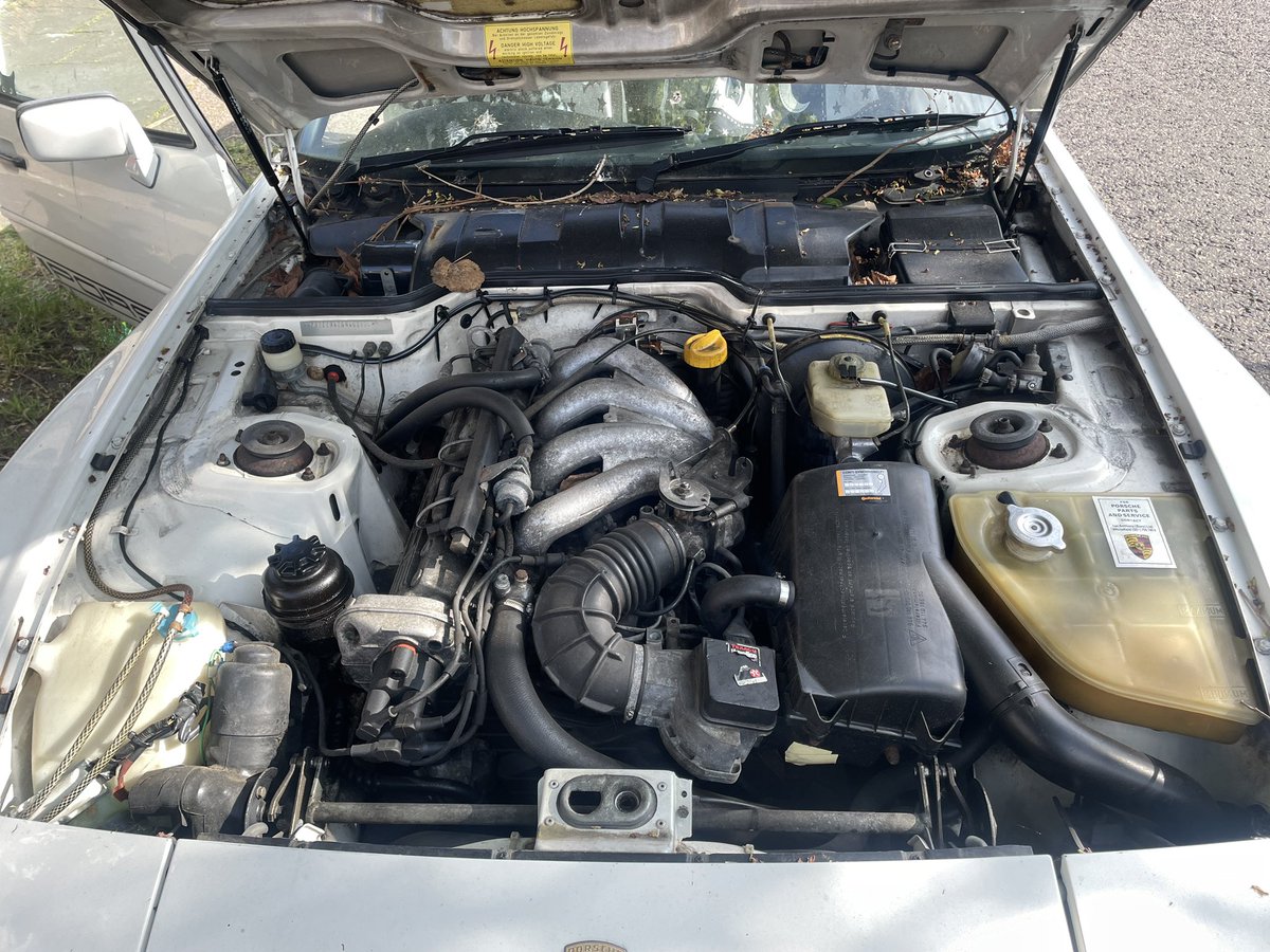 ♛♛✨🌙♛♛ tweet media