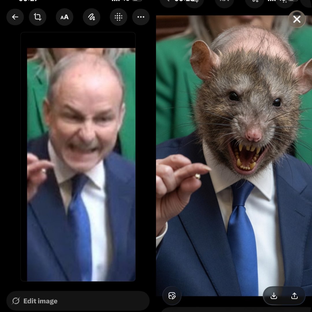 duzBme's tweet image. True Story
Micheál Mehole Rat Martin hates the Irish people and Ireland 🇮🇪 #Traitor