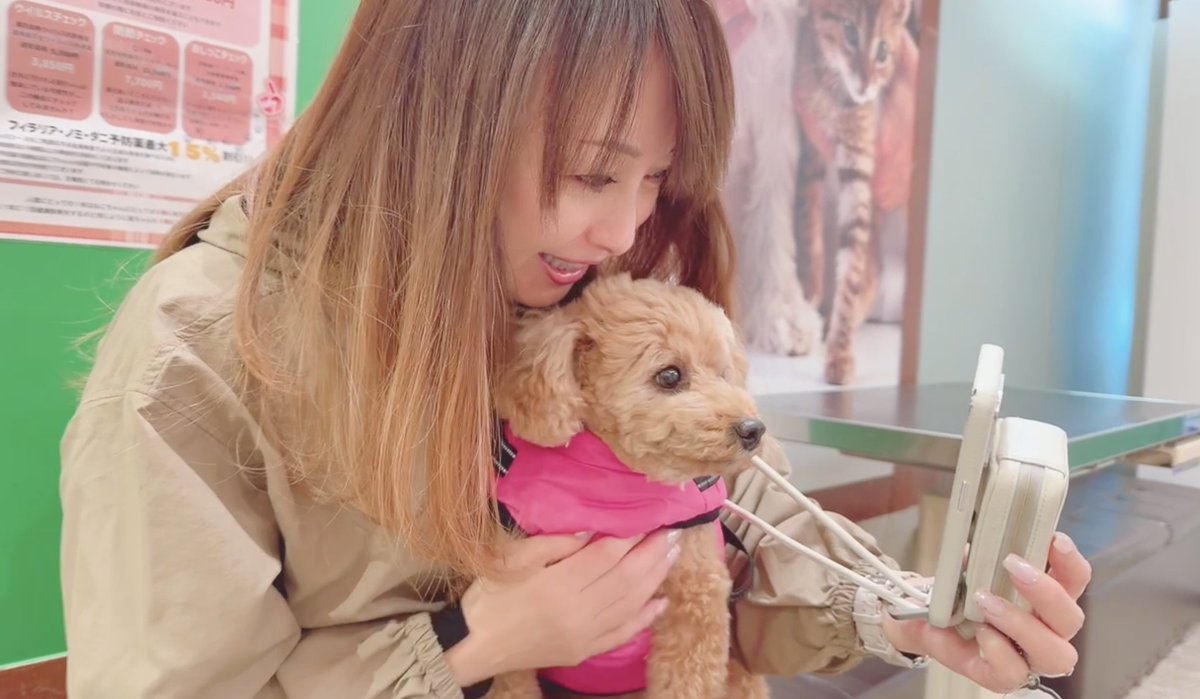 渡辺美奈代 (@Minayo_Watanabe) / Posts / X