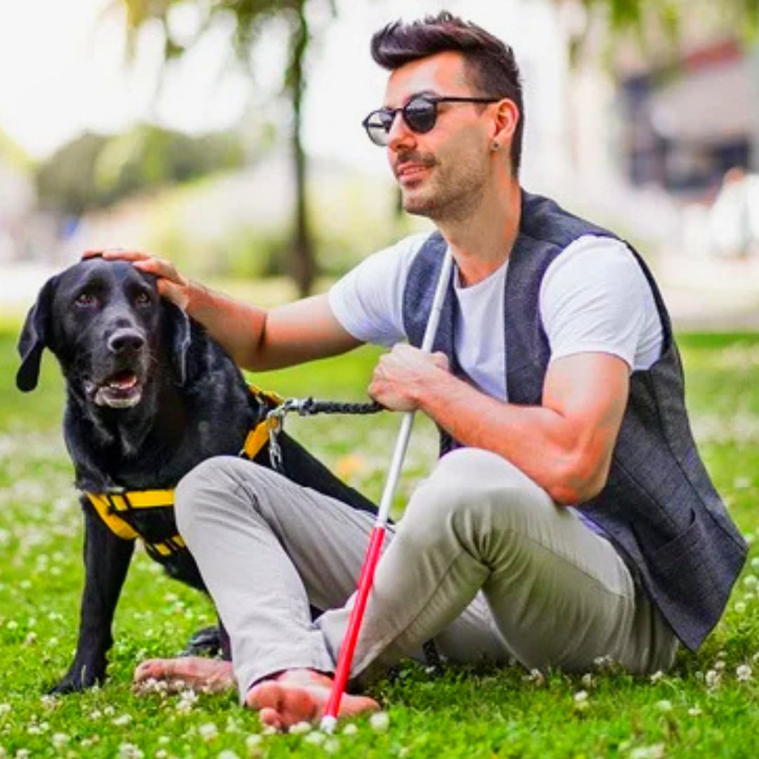 DWD Financial Planners tweet media