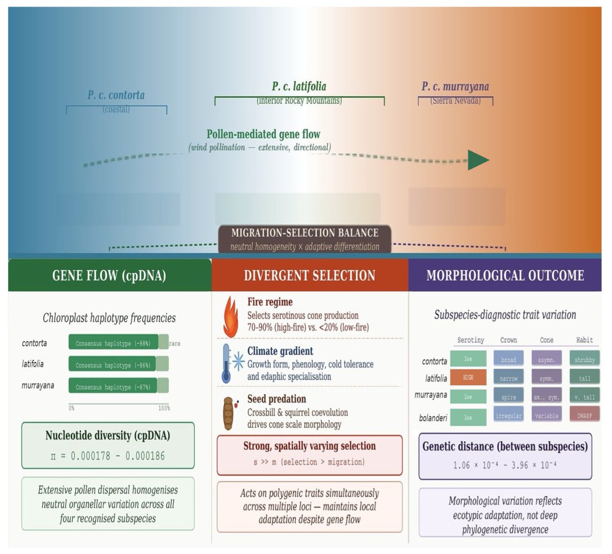 DNA MDPI tweet media
