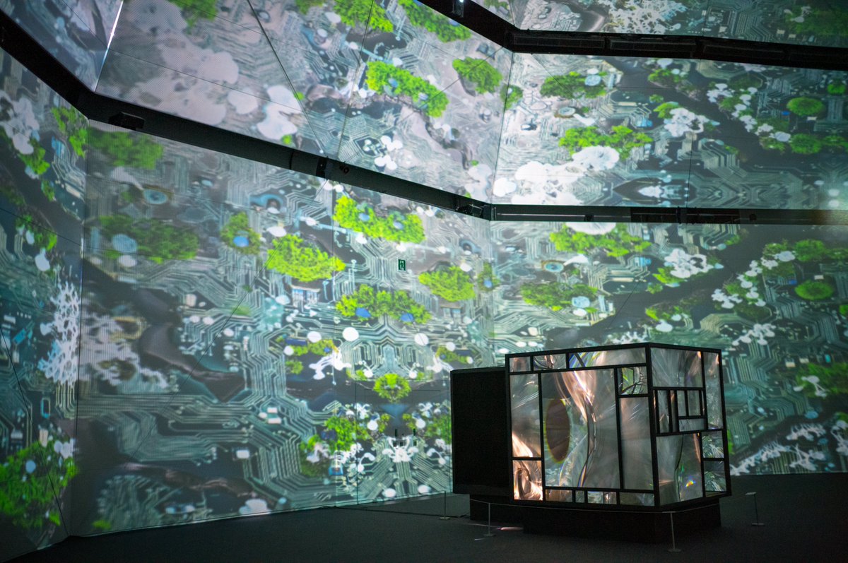 AkimotoMiii tweet media