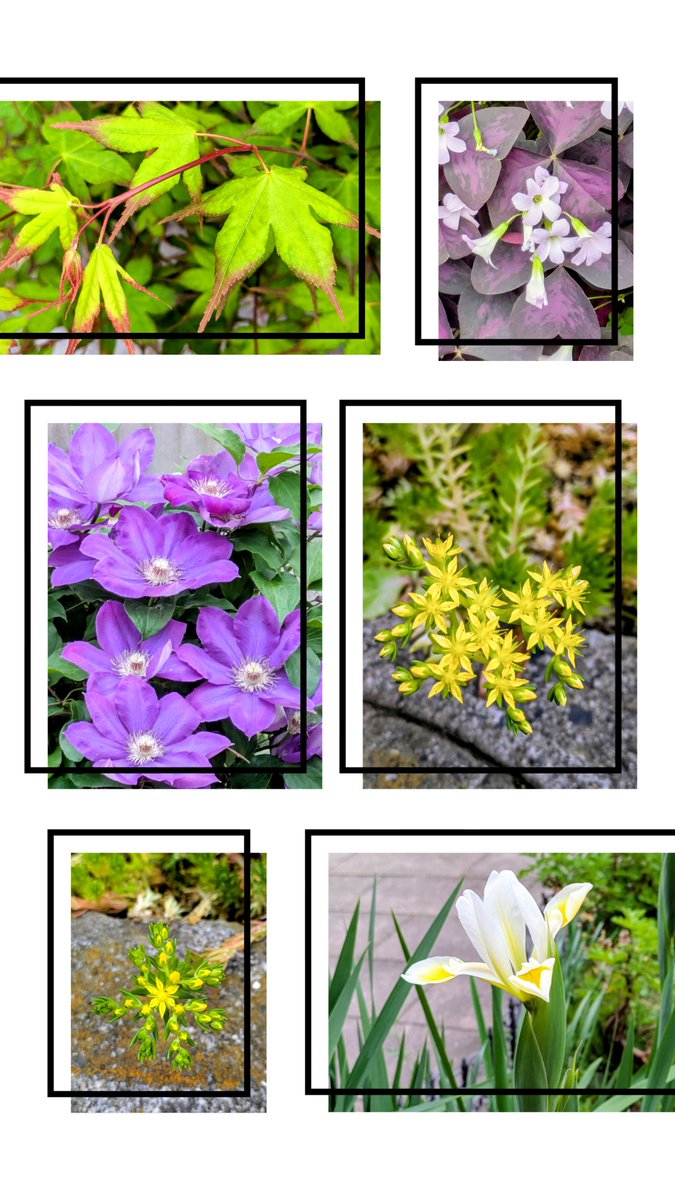 ふかさわ葵＠奈良LOVE都民 tweet media