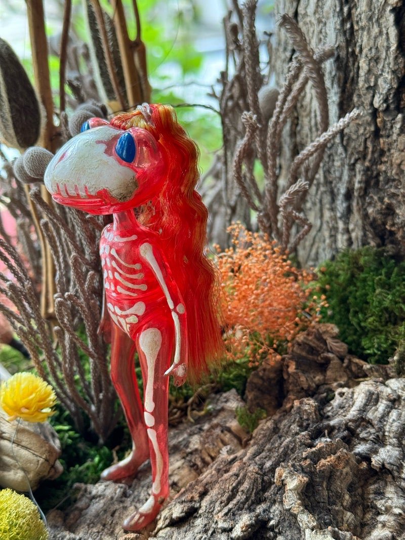 Wonder Frog Offical International tweet media