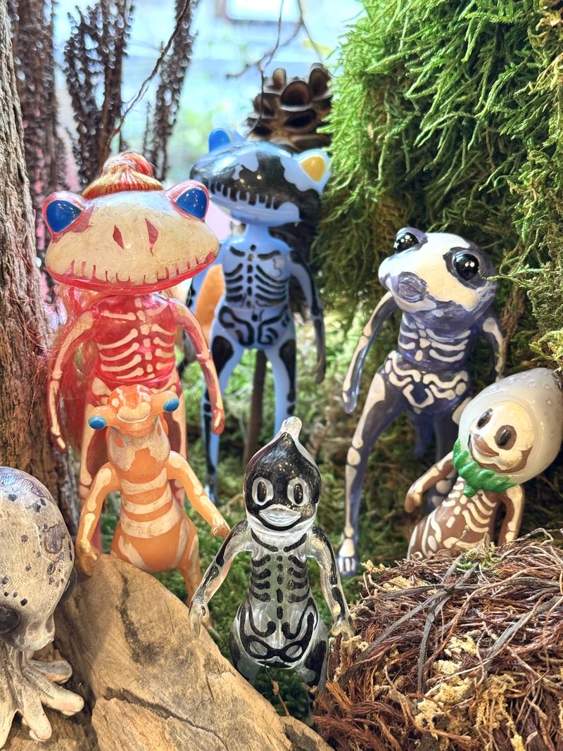 Wonder Frog Offical International tweet media