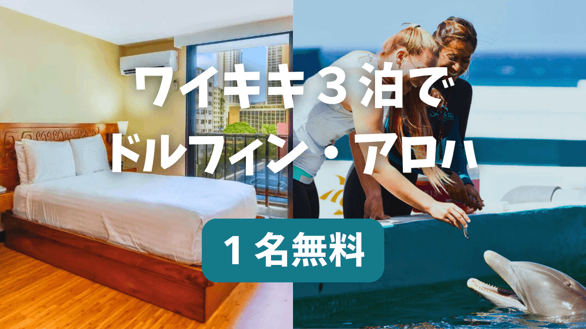 SeaLifeParkJp's tweet photo. ワイキキに泊まって、イルカに会いに行こう
ホテル2名3泊＋ドルフィン・アロハ1名無料の特別プラン
詳しくはこちら
https://t.co/OOYa1x0JS4

#ハワイ旅行 #ワイキキ #ドルフィン体験 https://t.co/ROUKYqQSC1