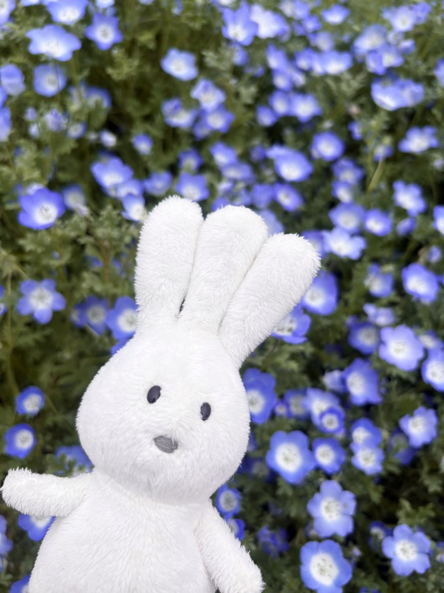 にゃー tweet media